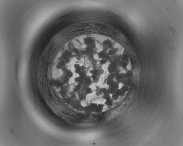 X0000111440765200908241144