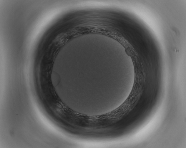 X0000111440766200908241144