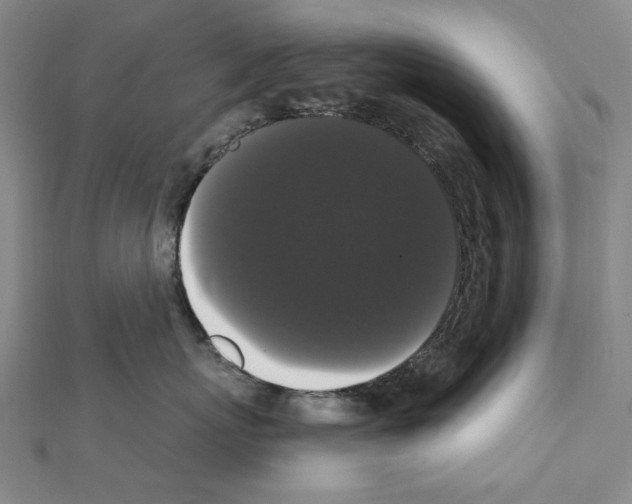 X0000111440767200908241144