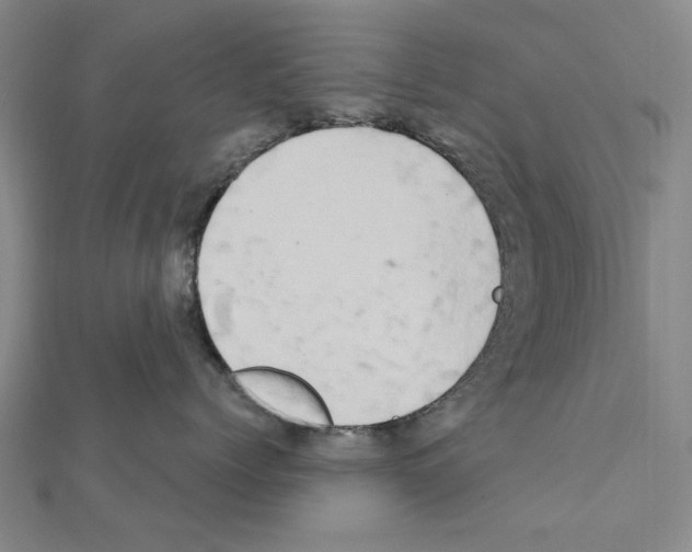 X0000111440768200908241144