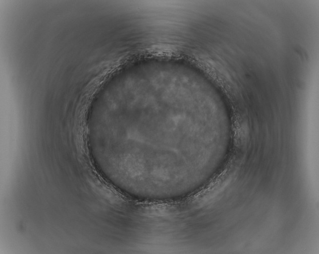 X0000111440769200908241143