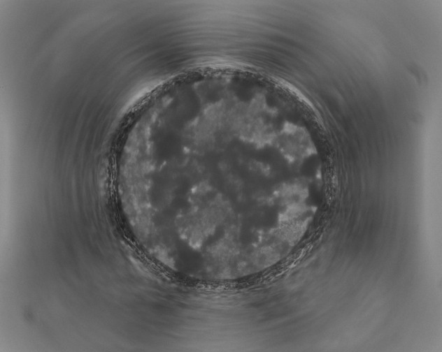 X0000111440775200908241143