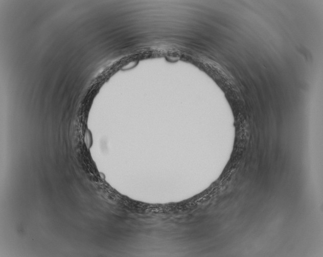 X0000111440776200908241143