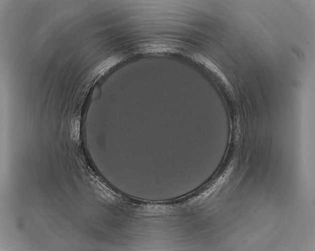 X0000111440777200908241143