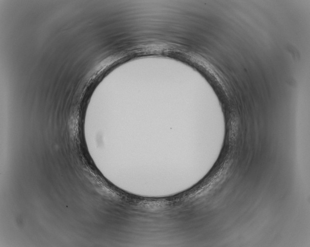 X0000111440778200908241143