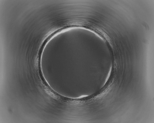 X0000111440779200908241143