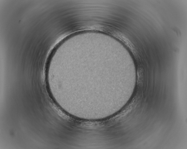 X0000111440780200908241143