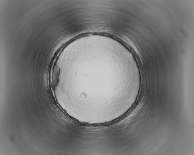 X0000111440781200908241143