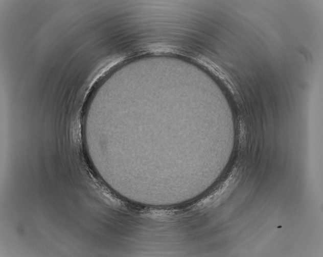X0000111440782200908241143