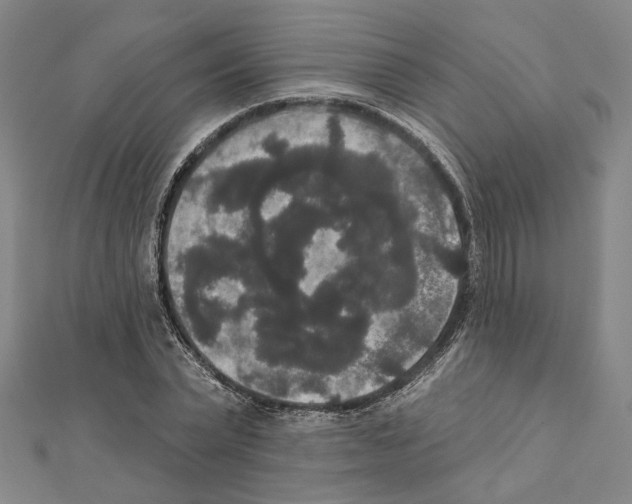 X0000111440783200908241143