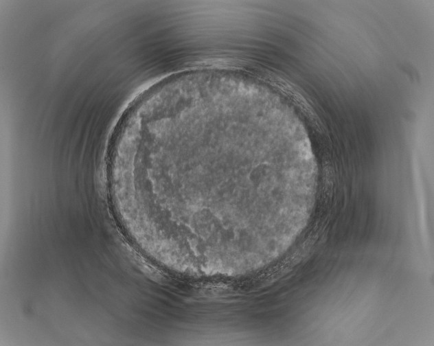 X0000111440784200908241143