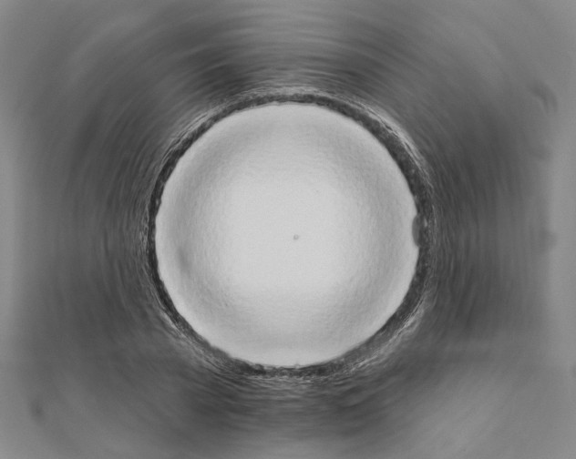 X0000111440785200908241143