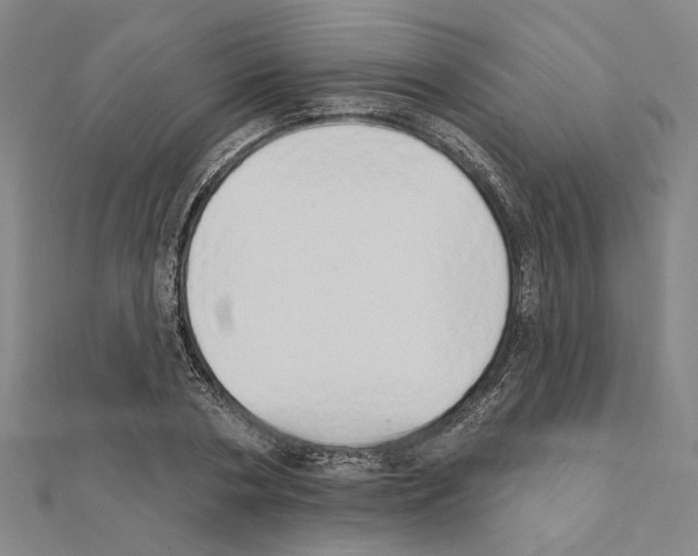 X0000111440786200908241143