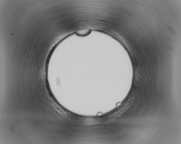 X0000111440787200908241143