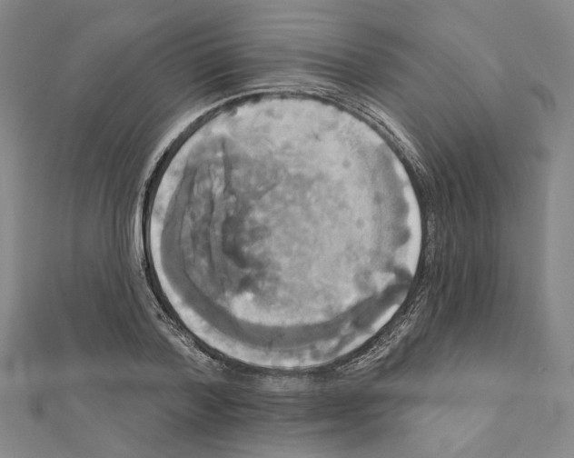 X0000111440788200908241143
