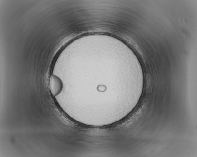X0000111440789200908241143