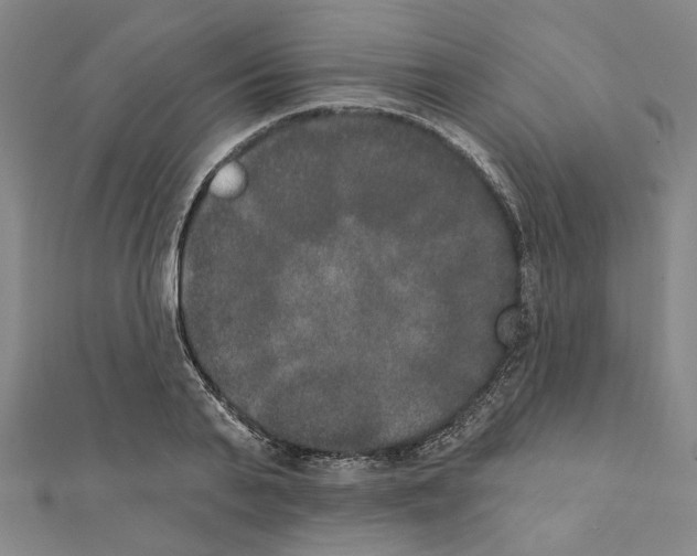 X0000111440791200908241143