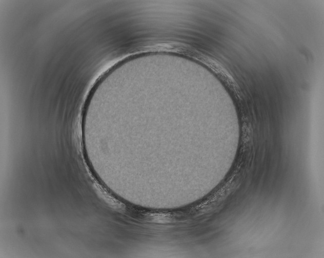 X0000111440792200908241143
