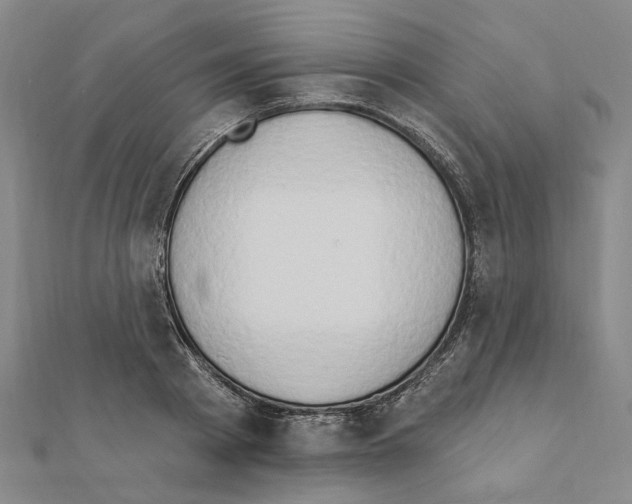 X0000111440793200908241143