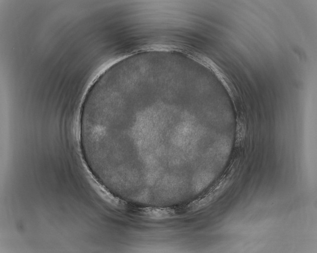X0000111440795200908241143