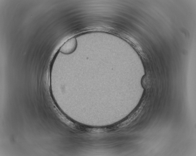 X0000111440796200908241143