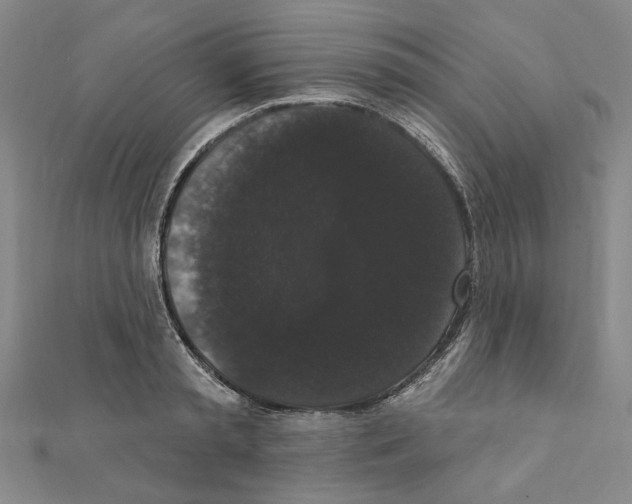 X0000111440797200908241143