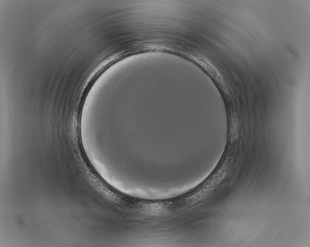 X0000111440798200908241143