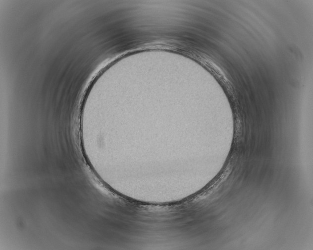X0000111440800200908241143