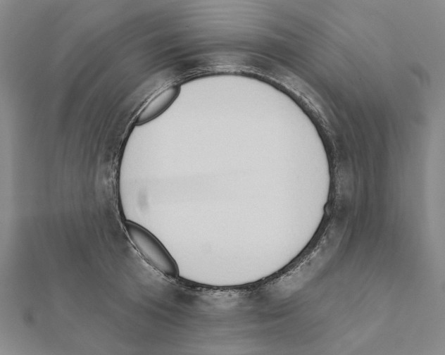 X0000111440801200908241143