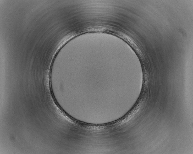 X0000111440802200908241143
