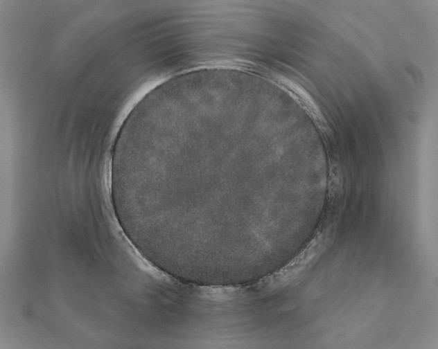 X0000111440804200908241143