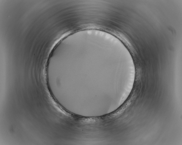 X0000111440806200908241143