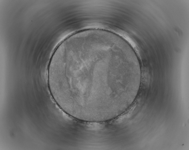 X0000111440807200908241143