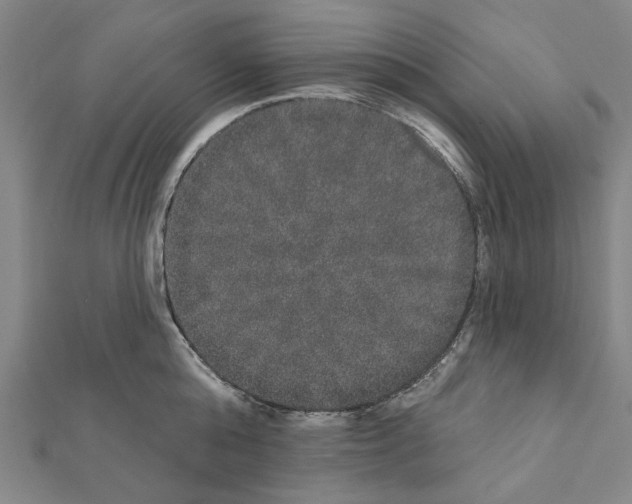 X0000111440808200908241143