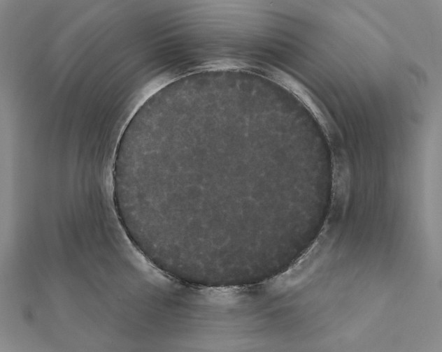 X0000111440810200908241142