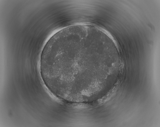 X0000111440811200908241142