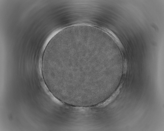 X0000111440812200908241142
