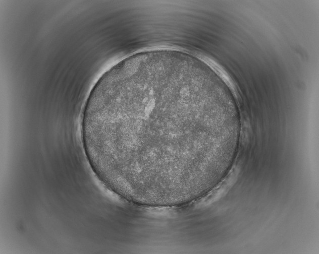 X0000111440813200908241142