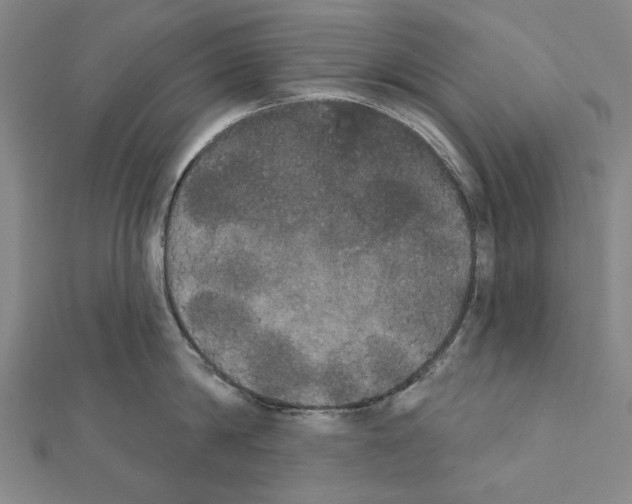 X0000111440814200908241142