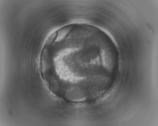 X0000111440815200908241142