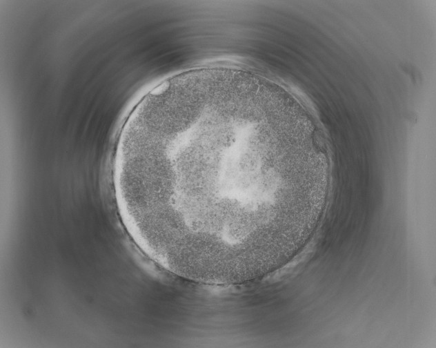 X0000111440816200908241142