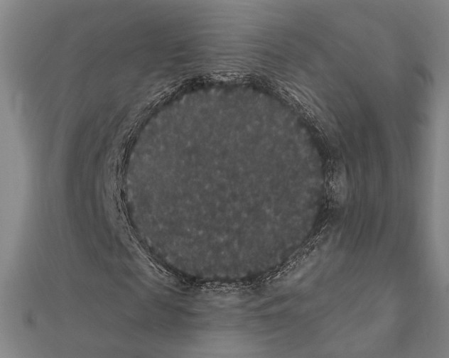 X0000111440817200908241142
