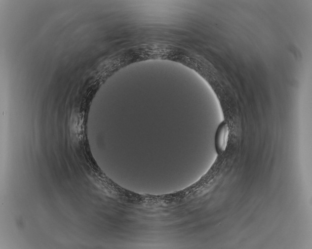 X0000111440818200908241142