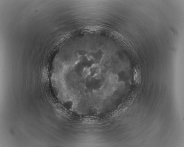 X0000111440819200908241142