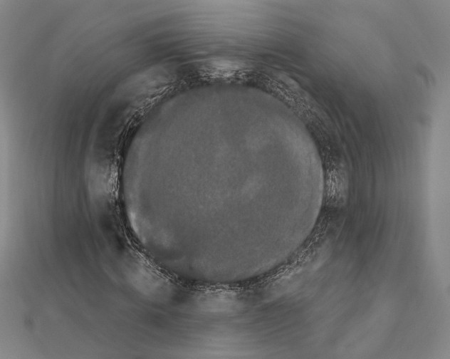 X0000111440820200908241142