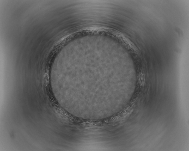 X0000111440821200908241142