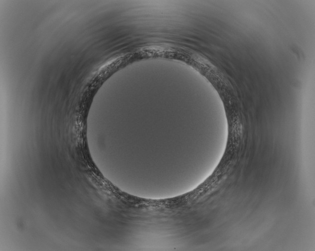 X0000111440822200908241142