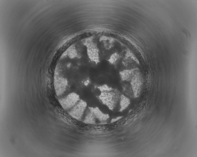 X0000111440823200908241142
