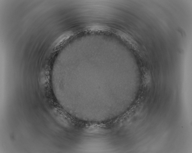 X0000111440824200908241142