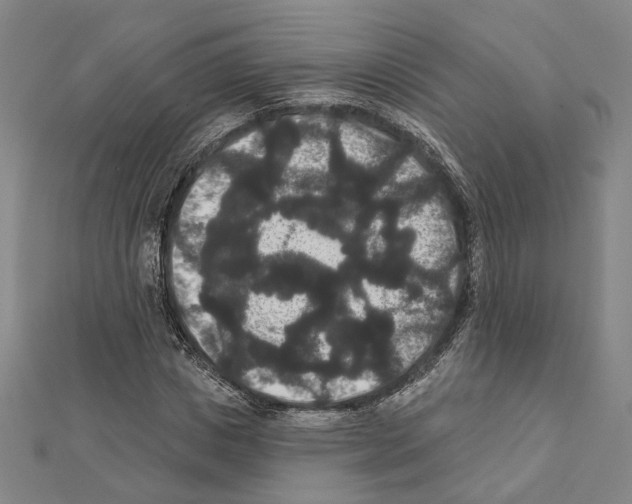 X0000111440825200908241142